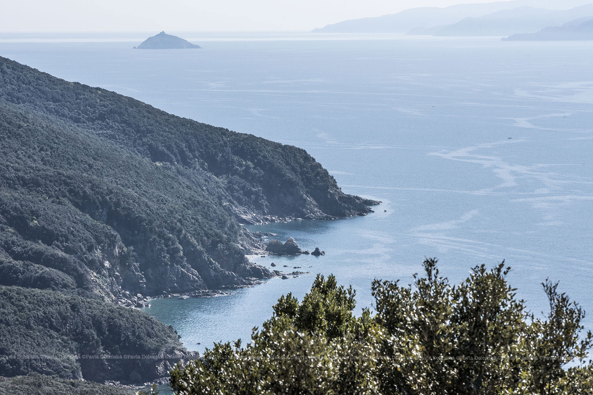 Baratti vista Elba